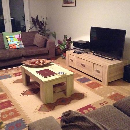 Bryncoed Panzió Aberystwyth Kültér fotó