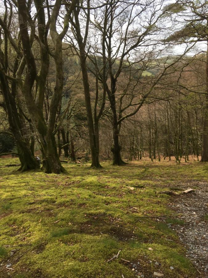 Bryncoed Panzió Aberystwyth Kültér fotó
