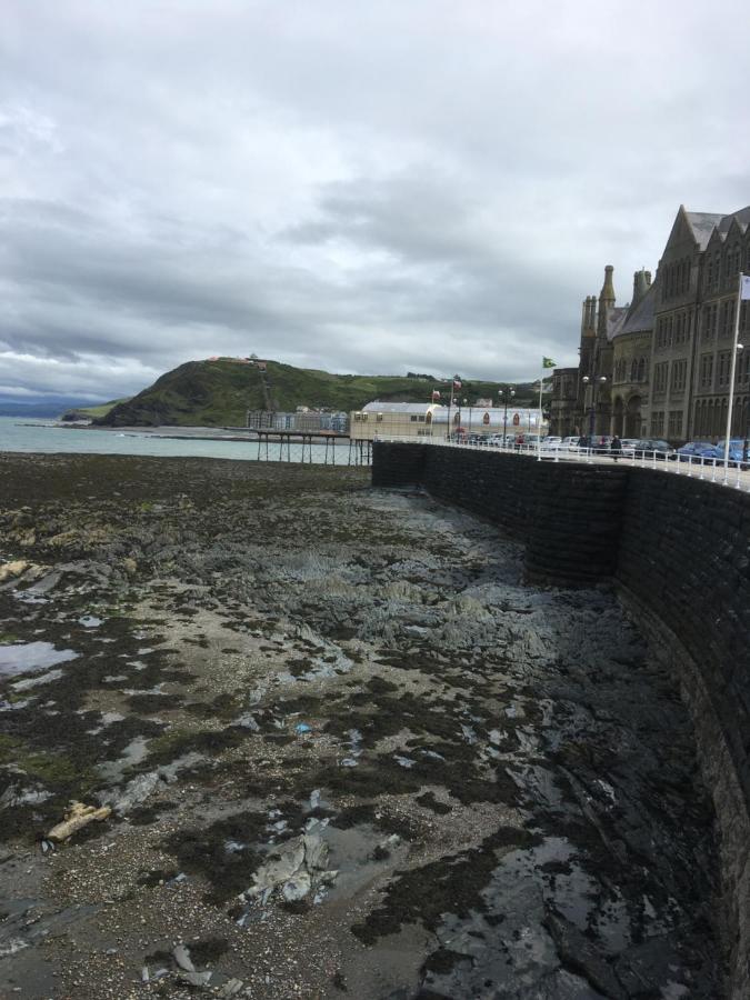 Bryncoed Panzió Aberystwyth Kültér fotó