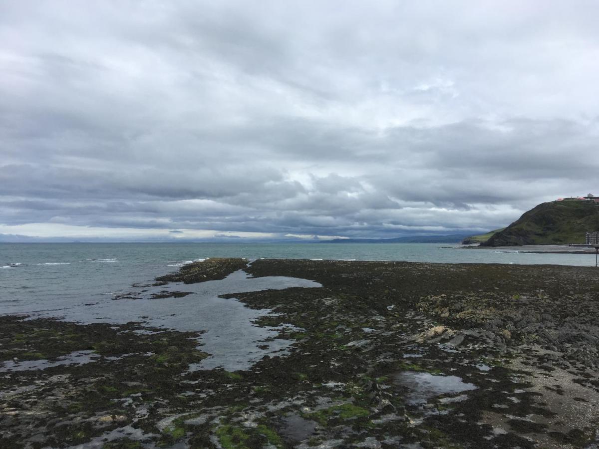 Bryncoed Panzió Aberystwyth Kültér fotó